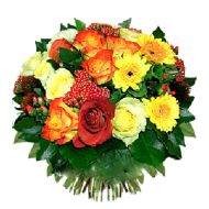其它国家,金秋时节